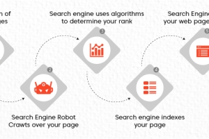 How do seo agencies help websites achieve top search engine ranks?